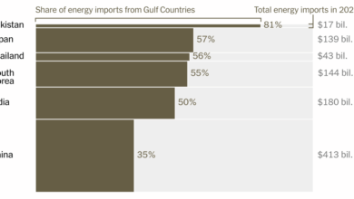 Which Countries Depend the Most on Persian Gulf Oil and Gas