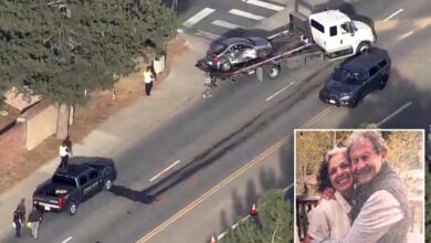 Widower fighting to improve safety at a crossing where his wife died is killed in same spot