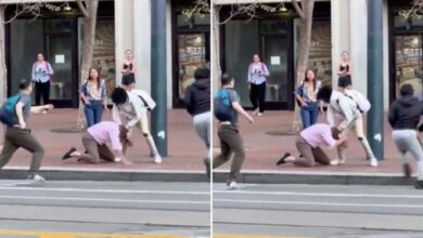 Wild San Francisco street fight shows young punks bashing man in broad daylight