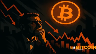 Bitcoin Fear And Greed Index Hits Extreme Fear At 13