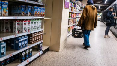 Inflation held steady in February before Iran war drove up gas prices, CPI report shows