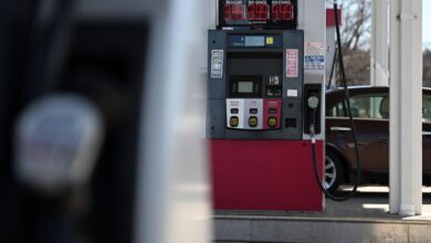 Massive emergency oil release fails to stem investor fears as oil tops 0 a barrel