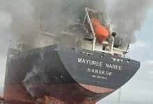 Could a global economy dependent on renewable energy see less war? Experts explain