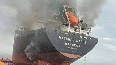 Could a global economy dependent on renewable energy see less war? Experts explain