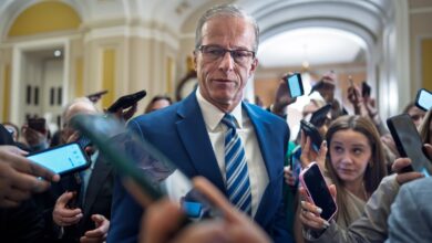 Days from recess, Democrats and Republicans blame each other for TSA chaos