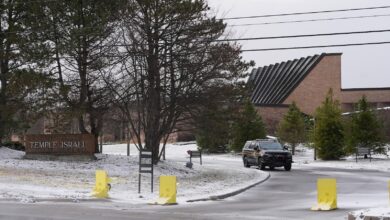 Michigan synagogue attacker committed ‘Hezbollah-inspired act of terrorism’: FBI