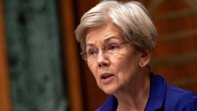As wealth taxes gain traction, Warren proposes levy on the ultra-rich
