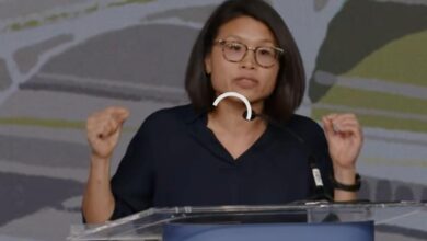 ‘Fix the audio!’ DSA debate turns into online trainwreck as broken livestream sparks viewer revolt