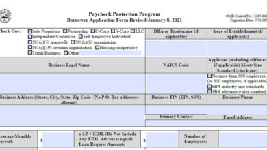 9 Chicago more cops busted in PPP loan fraud probe, inspector general says
