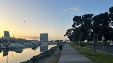 AACR in 30 Seconds: CAR-T promise, Merck’s new move, rural health