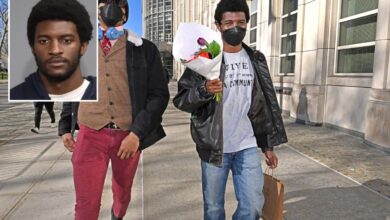 Anti-Israel activist admits to torching 11 NYPD vehicles in arson spree