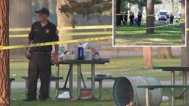 Bloods gang BBQ on Long Island erupts into deadly NY teen gun fight, police sources say