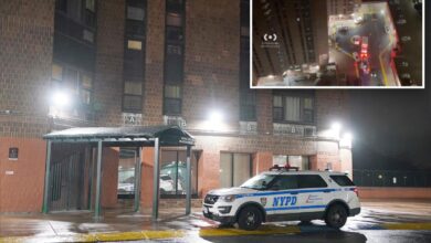 Bronx man, 76, shoots neighbor 55 years his junior to death over long-time beef: cops