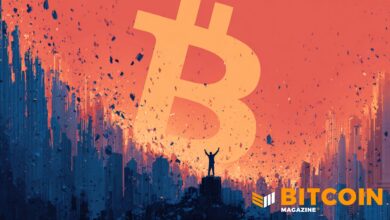 This Analyst Thinks Bitcoin’s 50% Crash Was A ‘Victory’