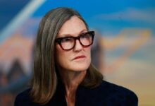 Cathie Wood buys million of beaten-down AI stock