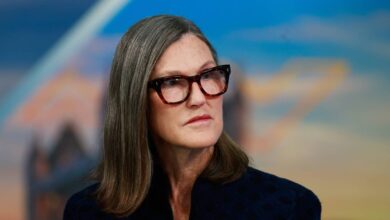 Cathie Wood buys million of beaten-down AI stock