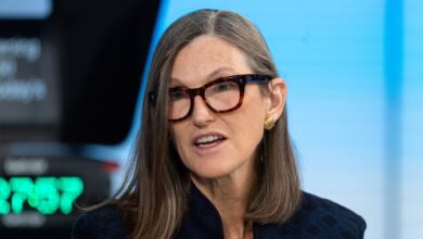 Cathie Wood buys 0,000 of surging megacap stock