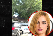 Cops Called to Addison Rae’s Dad’s Home, Cars Lined Up Outside, on Video