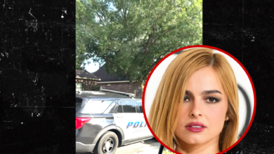 Cops Called to Addison Rae’s Dad’s Home, Cars Lined Up Outside, on Video