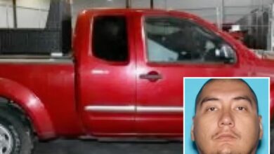 Cops make most disgusting discovery imaginable in back of truck