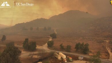 Crews Battle Fast-growing Wildfire In Windy Southern California That’s Forced Some To Evacuate