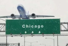 Dead monkey, 125 pounds of African beef found in luggage at O’Hare: CBP