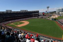 Dog Taps Person’s Shoulder at Baseball Game to Ask for Food