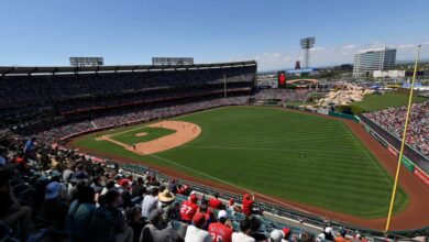 Dog Taps Person’s Shoulder at Baseball Game to Ask for Food