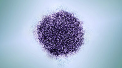 Eliminating hepatitis B shots at birth will have dire consequences, studies project