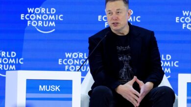 Elon Musk’s proposal of ‘universal high income’ to combat AI job losses baffles economists