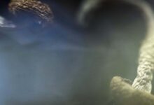 FDA fast-tracks review of new psychedelic mental health treatments