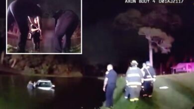 Florida police rescue elderly couple after car slides into pond following heavy downpours