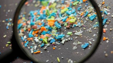 HHS announces 4 million program to study effect of microplastics on the human body