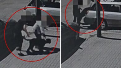 Heartless dognappers caught on tape stealing Labradoodles from SoCal car