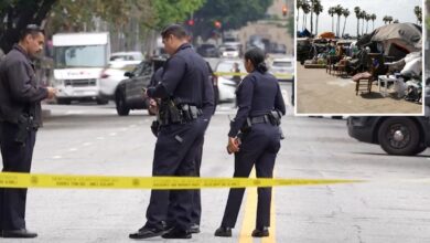 Homeless man accused of random stabbing of elderly woman in neck on DTLA street was suspected in 2025 encampment killing