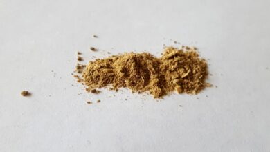 How Trump is pushing psychedelics reform through the health agencies