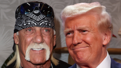 Hulk Hogan Convinced Trump To Sit Down For Netflix Doc Before Death, Director Says