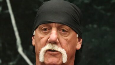 Hulk Hogan Took Lethal Amounts of Fentanyl Daily After Divorce from Linda