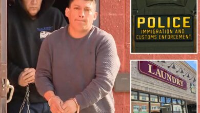 ICE arrests ‘sicko’ illegal migrant accused of kidnapping 4-year-old girl from Long Island laundromat 