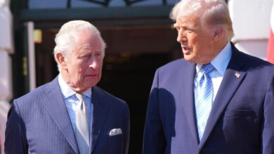 Lip reader reveals what President Trump said to King Charles III after royals arrived at White House