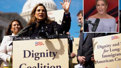 Megyn Kelly slams GOP reps backing ‘amnesty’ for illegal immigrants: ‘Betrayal’