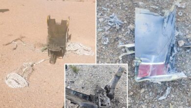 Military continues urgent search for F-15 co-pilot behind enemy lines in Iran