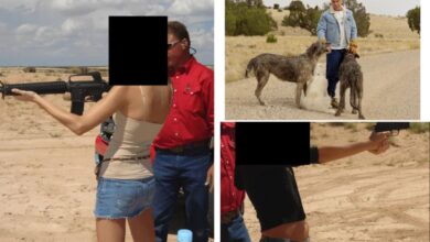 More than 30 guns stolen from Jeffrey Epstein’s New Mexico Zorro Ranch — but staff stonewalled police probe