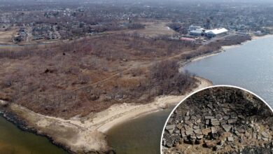 New Jersey neighborhood cancer cluster includes 28 on one street