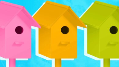 Spring 2026 Homebuying Guide: What to Know as Prices Stabilize and Inventory Improves