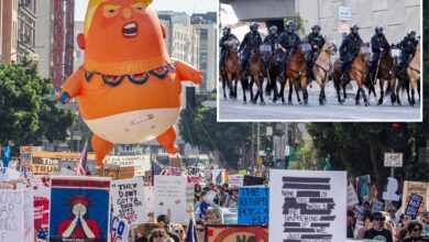 ‘No Kings’ instigators threw bottles at police horses in chaotic Los Angeles protest