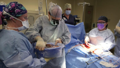 Novel approach to transplant rejection shows promise in new study