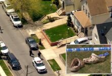 Raging NYC maniac stabs 2 neighbors over French bulldog peeing outside his home: cops