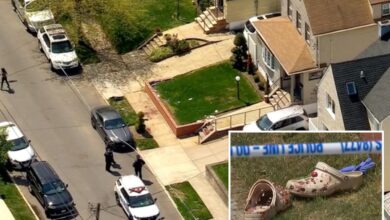 Raging NYC maniac stabs 2 neighbors over French bulldog peeing outside his home: cops