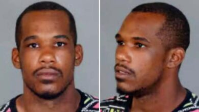 Registered sex offender turned himself in after sexually assaulting several women over a six-hour window